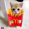 potatoxd_123