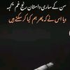 muhammadadnan12554