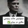 user9503021578594