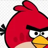rnwwjpem2l9