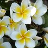 dilek.aydin7