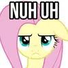 mlp.bug.infection