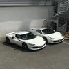 sasha_frt1