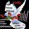 user29359942106571