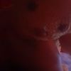 andrea.candia13