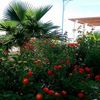 kamalbenhouad947