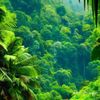 bichara.tous.ces