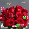 user532664940