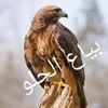 user7591936591585