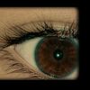 magaly.romm