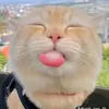_dt.uynw_