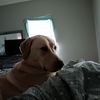 mattsaylor81