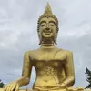 tinh04147
