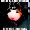 darth_cuy