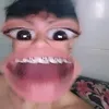gavogs_