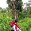 mdmahadihasanofficel