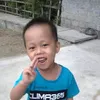 dmcdlno1