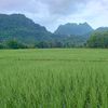 kyaw.kit