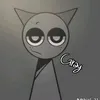 gray12677