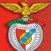 andrvalente24