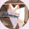 nokyoong95