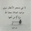 user7530185404292