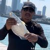 aymanghazy87