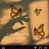 user8122155467601