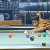 sebastian.surya.w