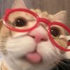 meow_mewwww