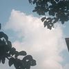 tarisa09_akunke2_