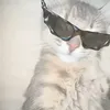 lucasvids2