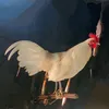 megarungf1