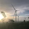 rmahton