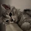 .ghxy