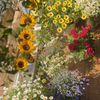 aflower.love