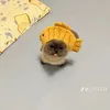 _lamvu10_