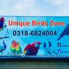 unique birds zone
