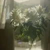 hinxinhiu209