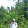 julyanox11