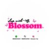 shopwithblossom_aesth