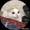 _h_c_siuu