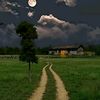 its.faay0