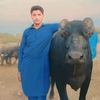 naimat.ali574