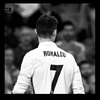 .cr735066