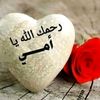ahkn2205461318672kos