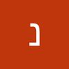 noam.srvit