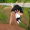 user3511198575527