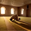 halaltv29