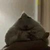 broaboba